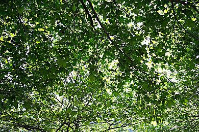 《房产达人2》现已登陆Steam 主机版3月发售