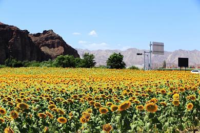 和风策略动作游戏《祇：女神之道》玩法展示视频