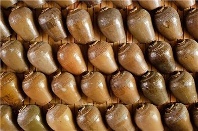 《狗钩：宇宙狗狗》8月15日发售 登陆XSX＆PC＆NS